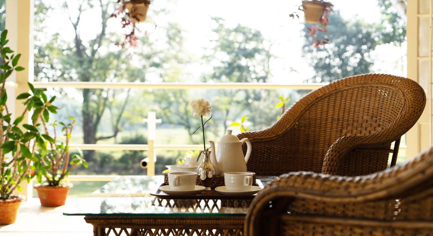 best of teas